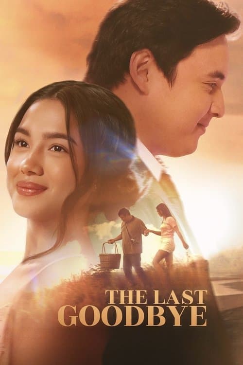 The Last Goodbye afişi