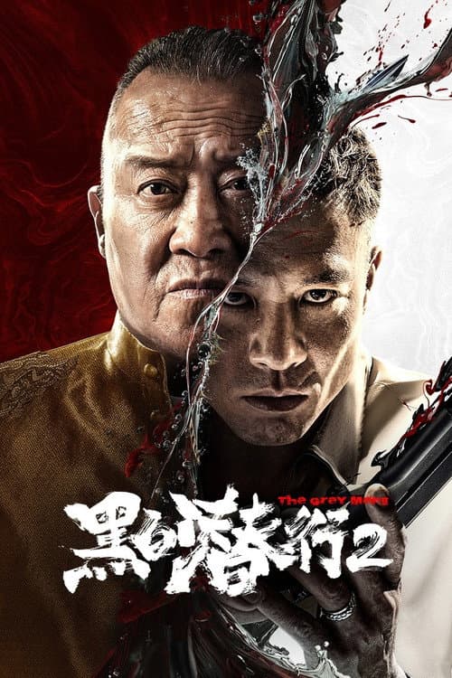 黑白潜行2 afişi