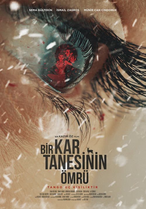 Bir Kar Tanesinin Ömrü afişi