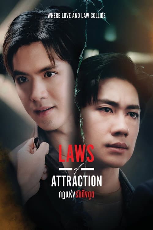 Laws of Attraction กฎแห่งรักดึงดูด afişi
