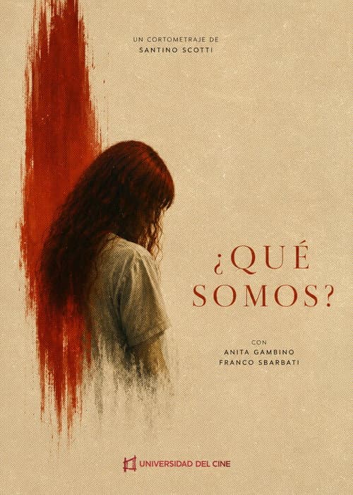 ¿Qué Somos? afişi