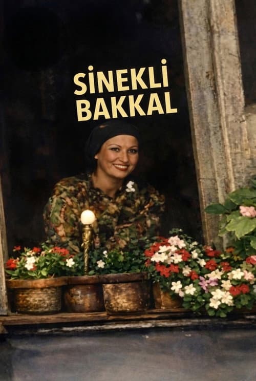 Sinekli Bakkal afişi