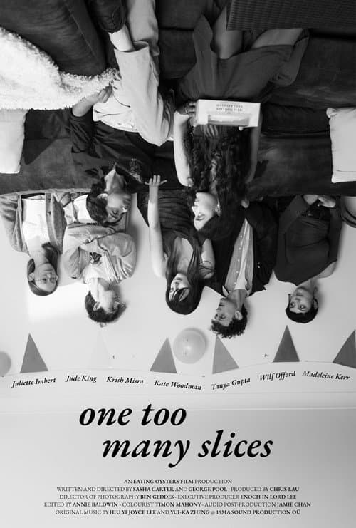 One Too Many Slices afişi