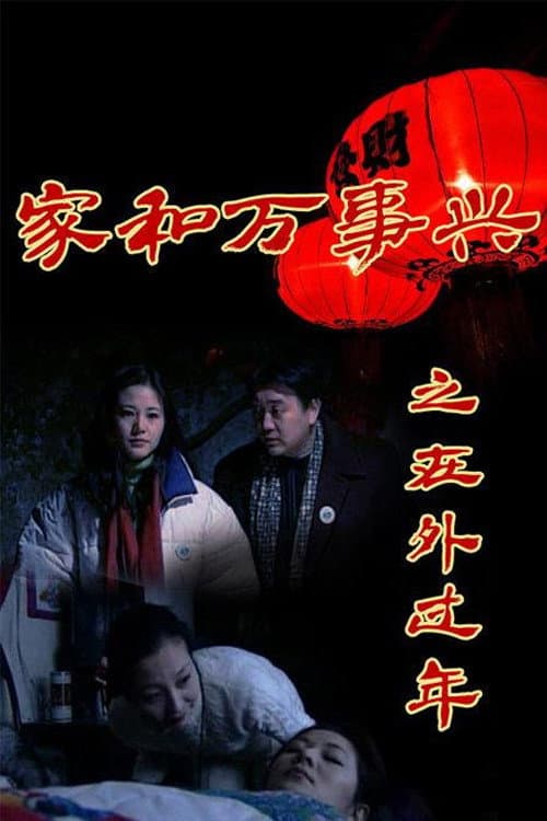 家和万事兴之在外过年 afişi