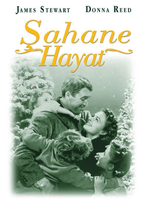 Şahane Hayat afişi