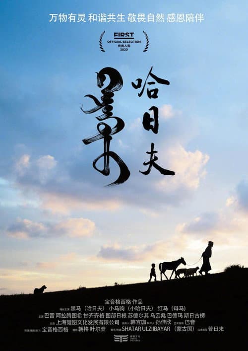 哈日夫 afişi