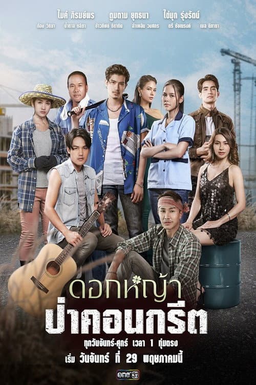 ดอกหญ้าป่าคอนกรีต afişi