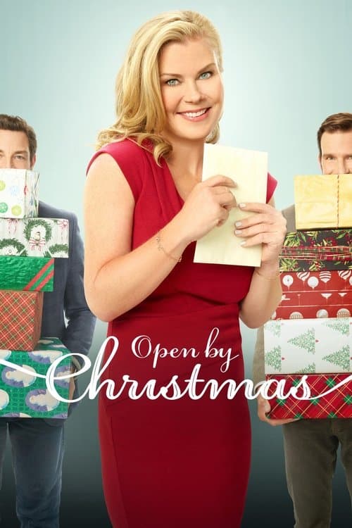 Open by Christmas afişi