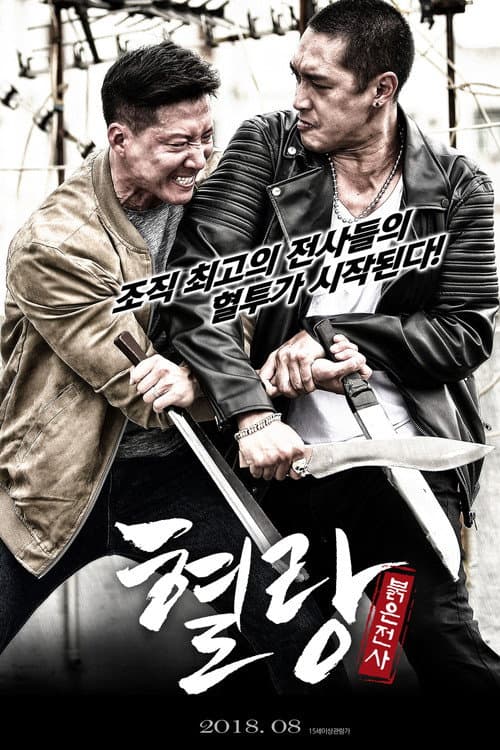 燃烧的夏之龙虎斗 afişi