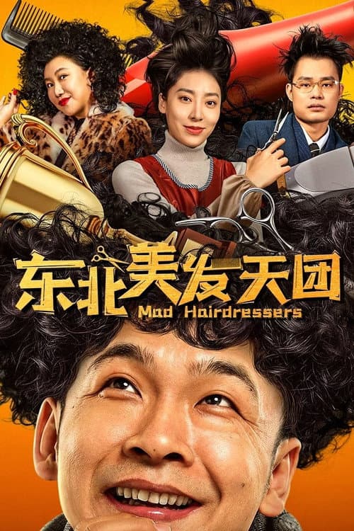 东北美发天团 afişi