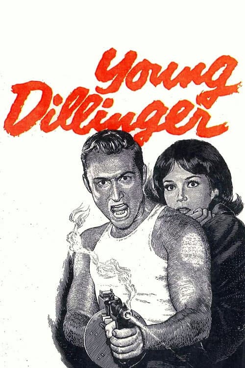 Young Dillinger afişi