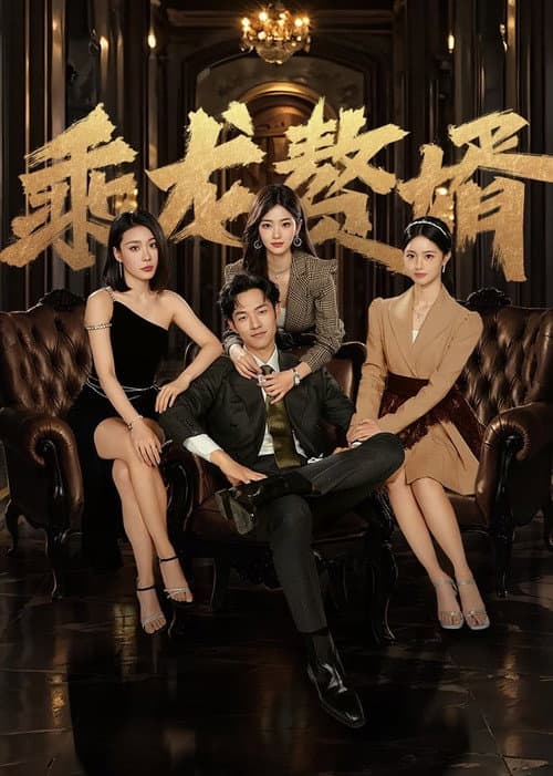 乘龙赘婿 afişi