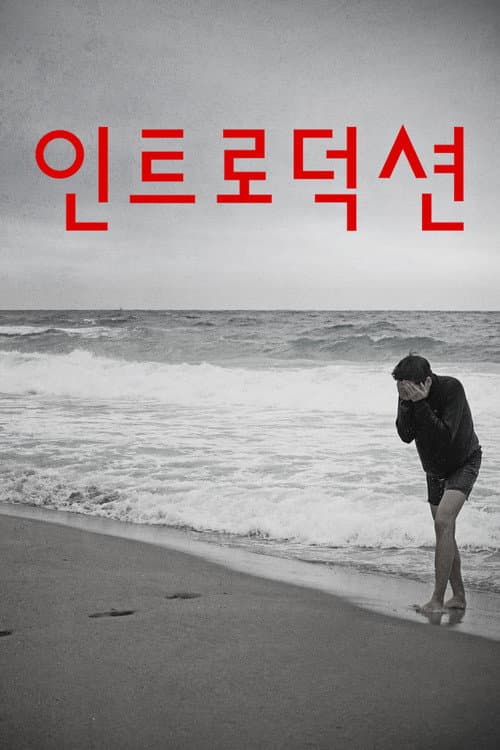 인트로덕션 afişi