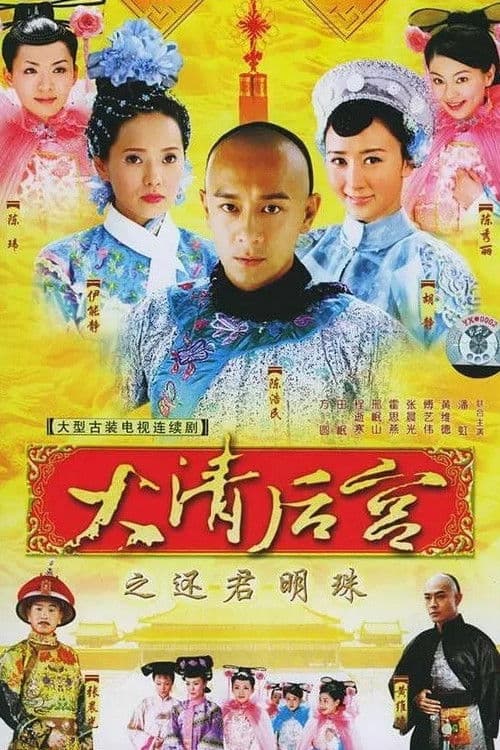 大清后宫 afişi