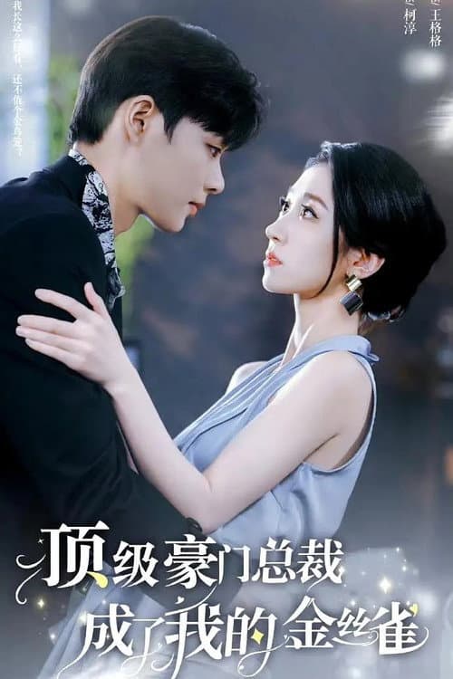 顶级豪门总裁成了我的金丝雀 afişi