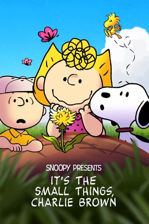 Snoopy Presents: It's the Small Things, Charlie Brown afişi