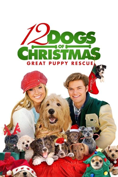 12 Dogs of Christmas: Great Puppy Rescue afişi
