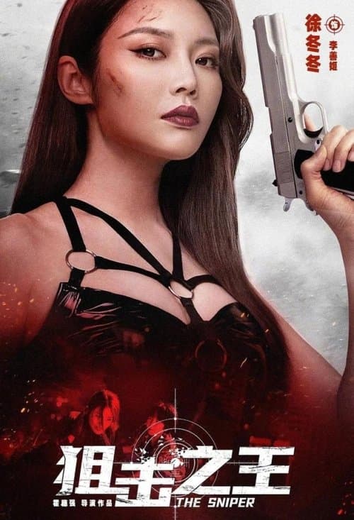 狙击之王 afişi