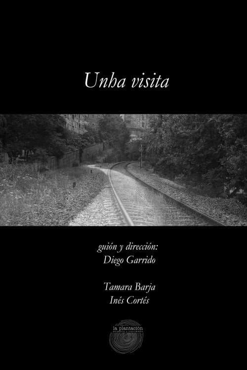Unha visita afişi