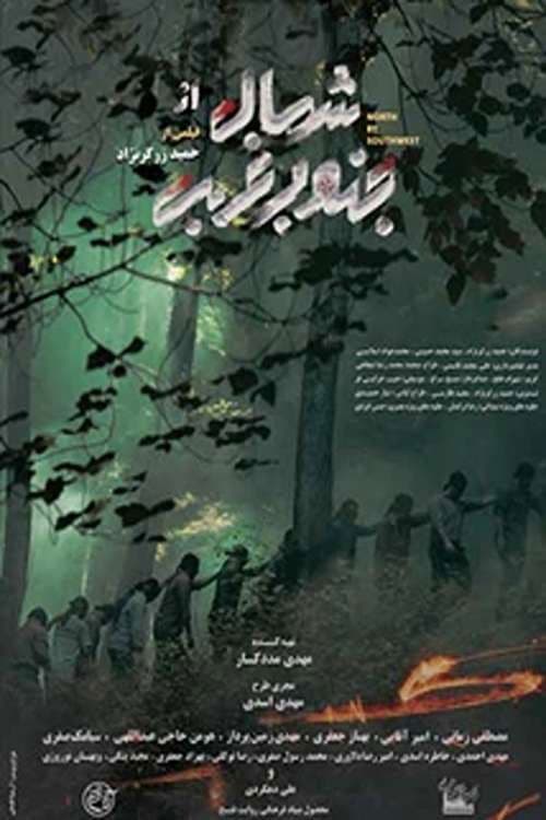 شمال از جنوب غربی afişi