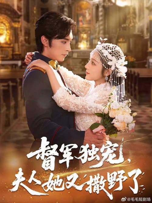督军独宠，夫人她又撒野了 afişi