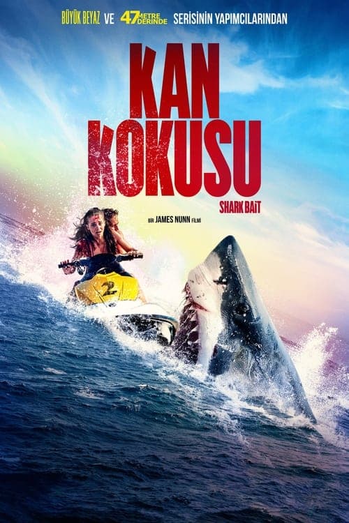 Kan Kokusu afişi
