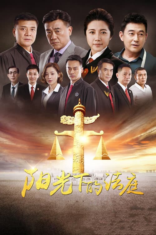 阳光下的法庭 afişi
