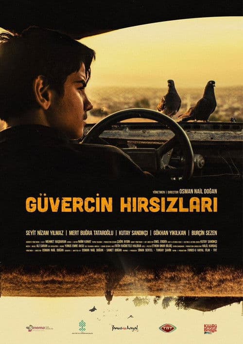 Güvercin Hırsızları afişi