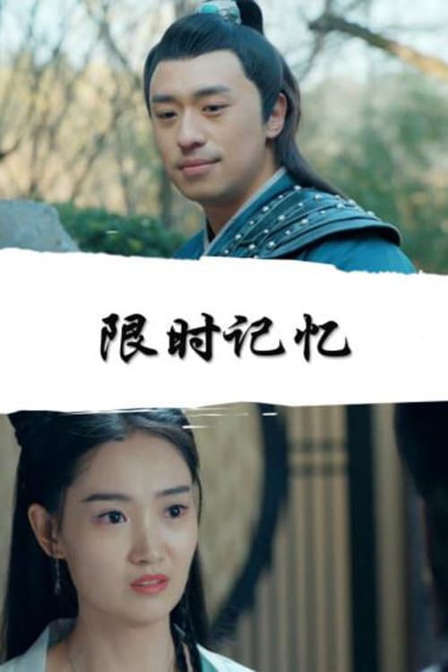 限时记忆 afişi