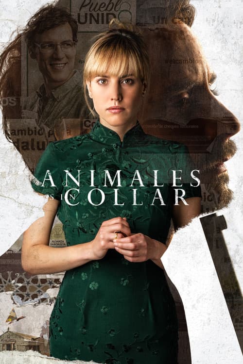 Animales sin collar afişi
