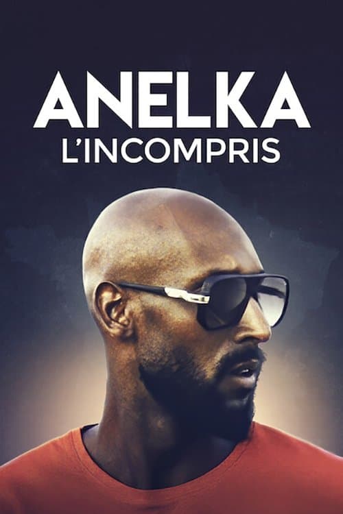 Anelka: Misunderstood afişi