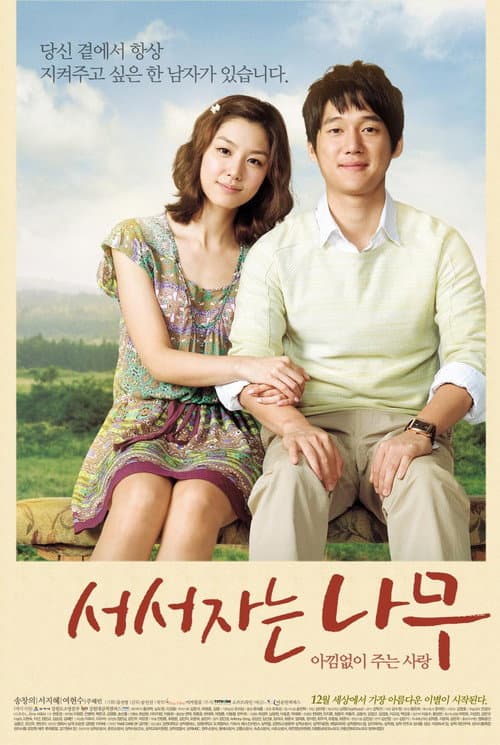 서서 자는 나무 afişi