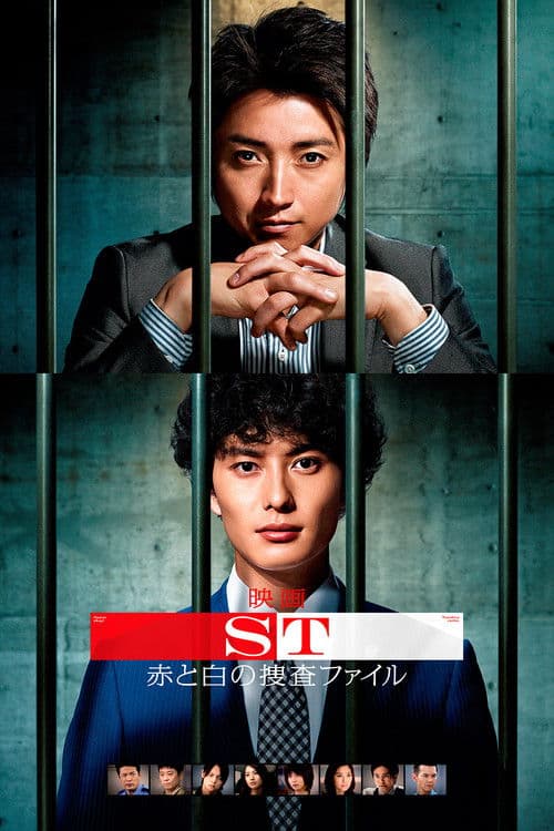 映画 ST赤と白の捜査ファイル afişi