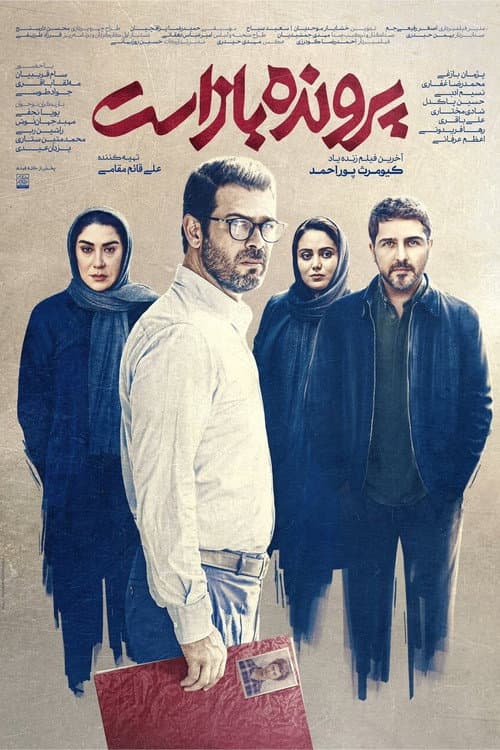 پرونده باز است afişi