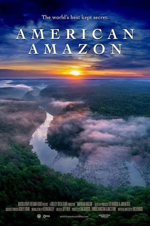 American Amazon afişi