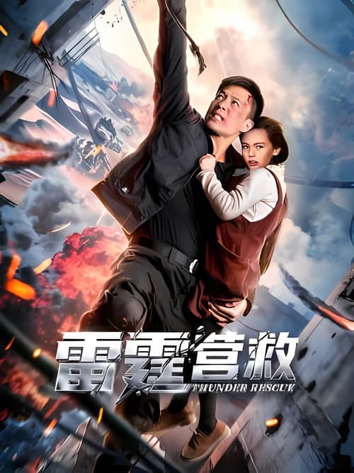 雷霆营救 afişi