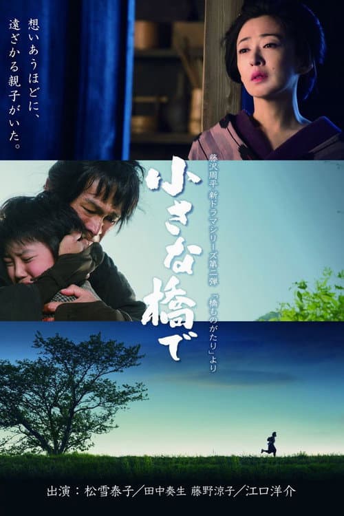 小さな橋で afişi