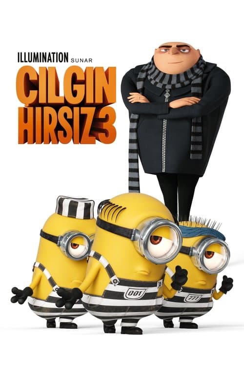 Çılgın Hırsız 3 afişi