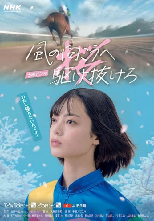 風の向こうへ駆け抜けろ afişi