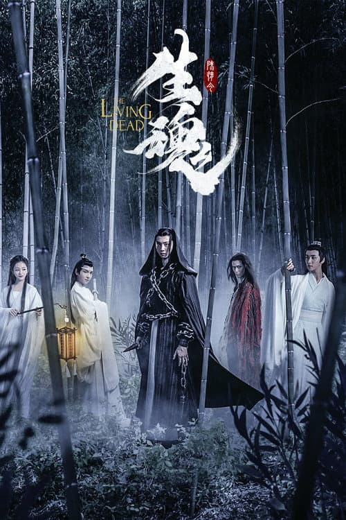 陈情令之生魂 afişi