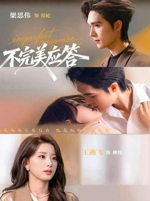 不完美应答 afişi