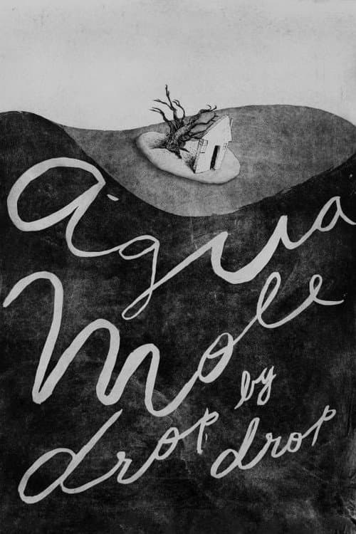 Água Mole afişi