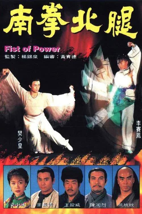 南拳北腿 afişi