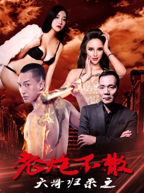 大哥归来之老炮不散 afişi