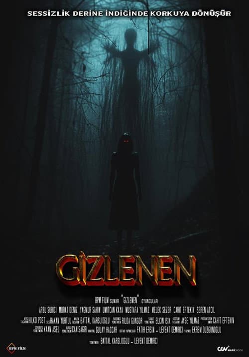 Gizlenen afişi