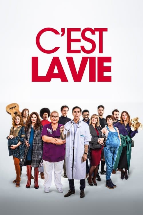 C'est la vie afişi