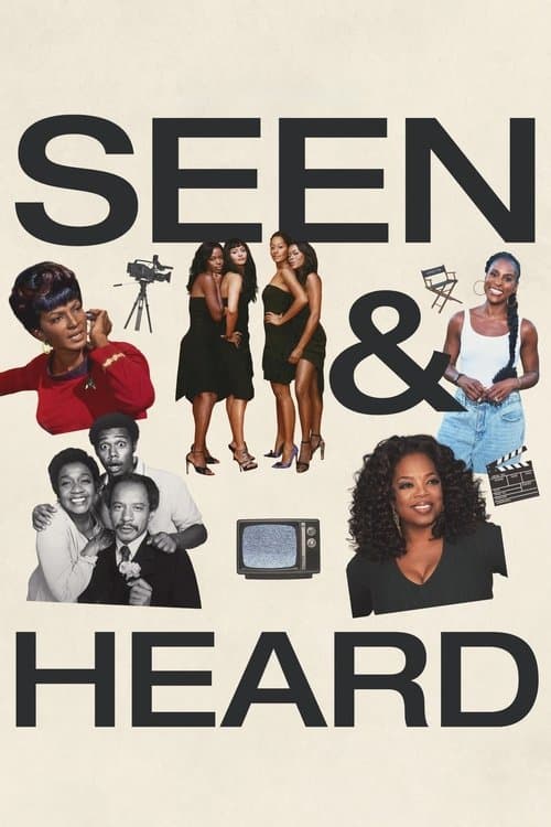 Seen & Heard: The History of Black Television afişi
