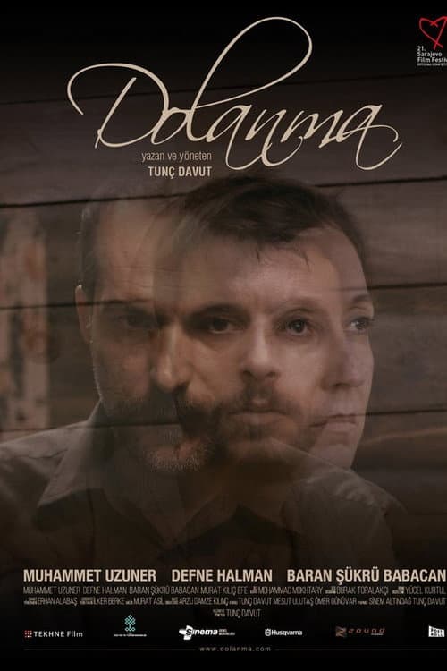 Dolanma afişi