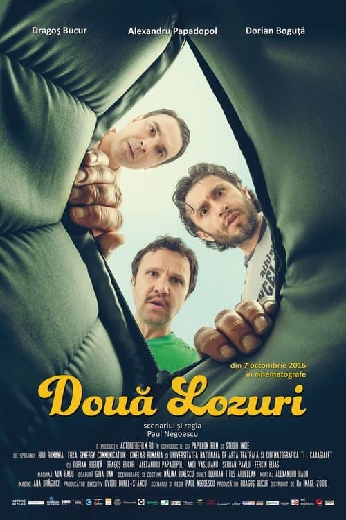 Două lozuri afişi