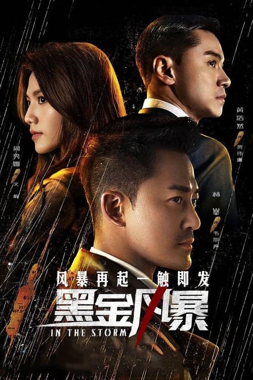黑金風暴 afişi